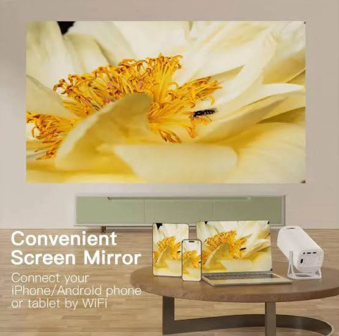 Portable Android Projector